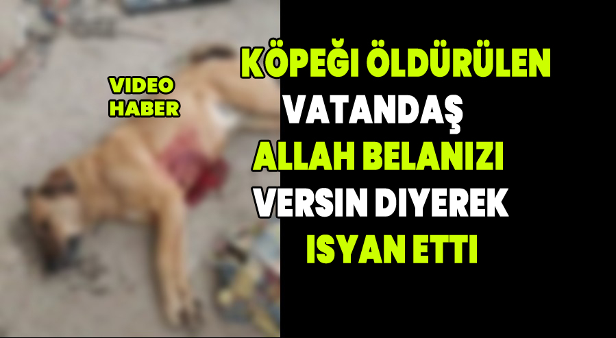 Görüntüler yalan değil tamamen gerçek 